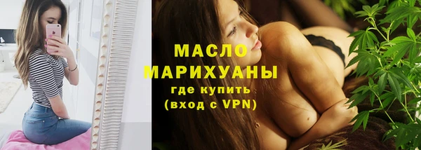 дмт Бородино