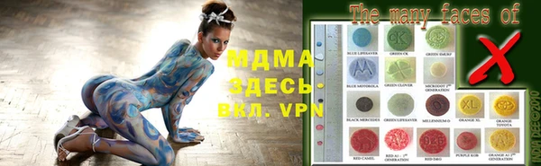 дмт Бородино