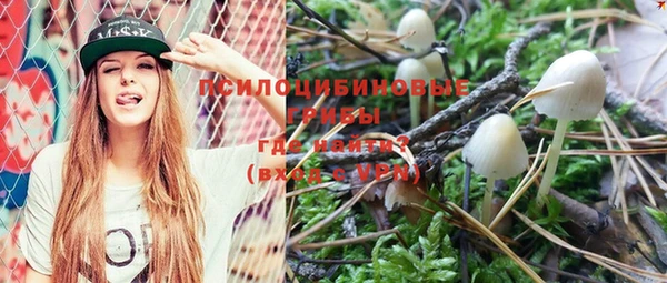 дмт Бородино