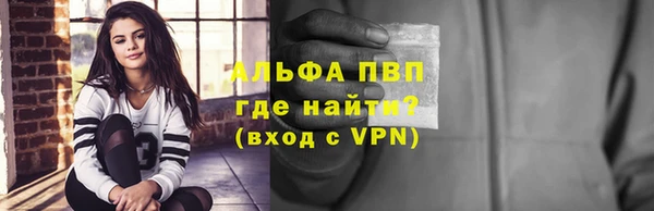 дмт Бородино