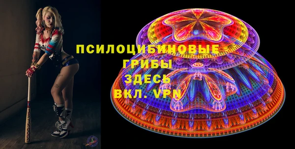 стаф Волосово
