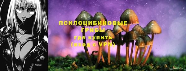 дмт Бородино