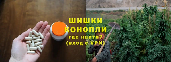 мдпв Бронницы