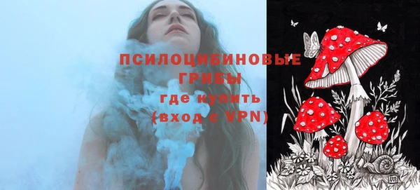 первитин Рославль