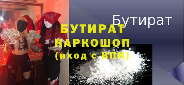 дмт Бородино