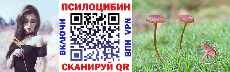 хочу наркоту  Вихоревка  Галлюциногенные грибы прущие грибы 