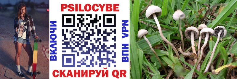 Псилоцибиновые грибы MAGIC MUSHROOMS Вихоревка